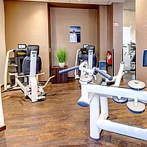 Mit dem Upper Back wird die obere Rückenmuskulatur trainiert. Fitnessgeräte Upper Back